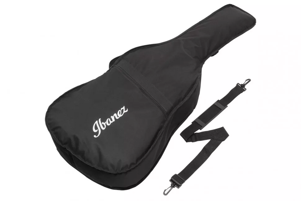 Ibanez AW54JR OPN