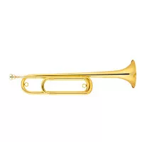 Maxtone TBC53/L5