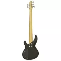 Aria IGB-STD/5 MBK