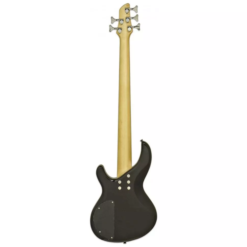 Aria IGB-STD/5 MBK