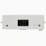 Hotone Audio Pulze Luna