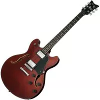 Schecter CORSAIR T.O.M. GWAL