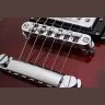 Schecter CORSAIR T.O.M. GWAL Schecter CORSAIR T.O.M. GWAL