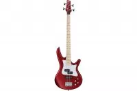 Ibanez Srmd200 Cam