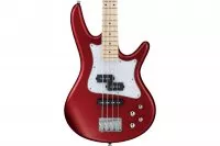 Ibanez Srmd200 Cam