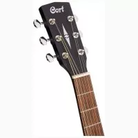 Cort Earth 60M OPTB