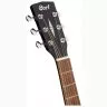 Cort Earth 60M OPTB