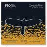 PRS Signature David Grissom Guitar Strings 11-49