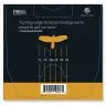 PRS Signature David Grissom Guitar Strings 11-49