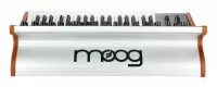 Moog SUBSEQUENT 37
