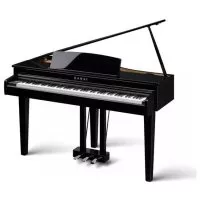 Kawai DG30