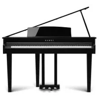 Kawai DG30