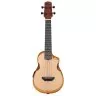 Ibanez AUC10E OPN