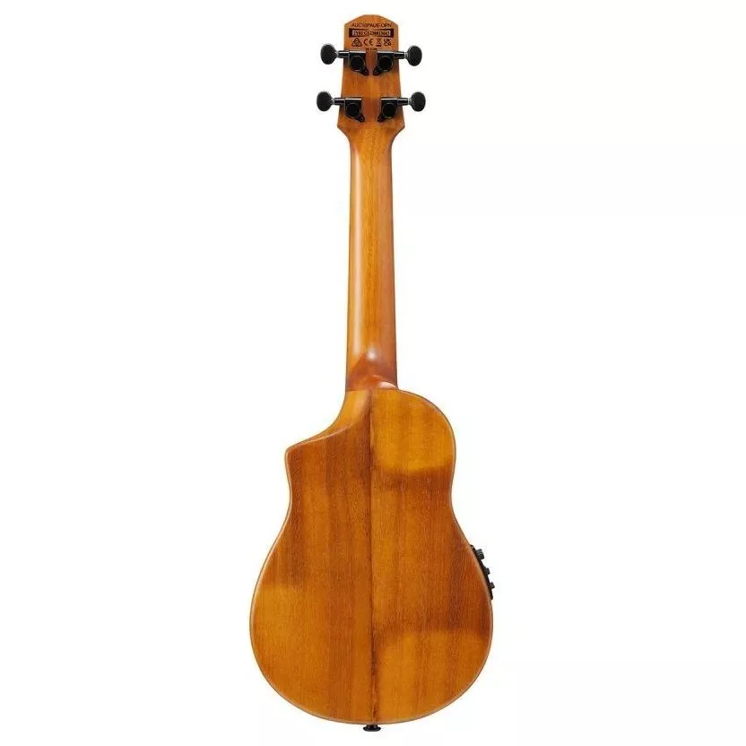 Ibanez AUC10E OPN