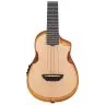 Ibanez AUC10E OPN