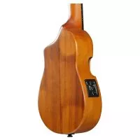 Ibanez AUC10E OPN