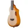 Ibanez AUC10E OPN