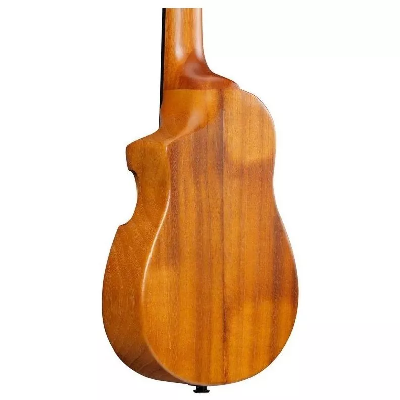 Ibanez AUC10E OPN