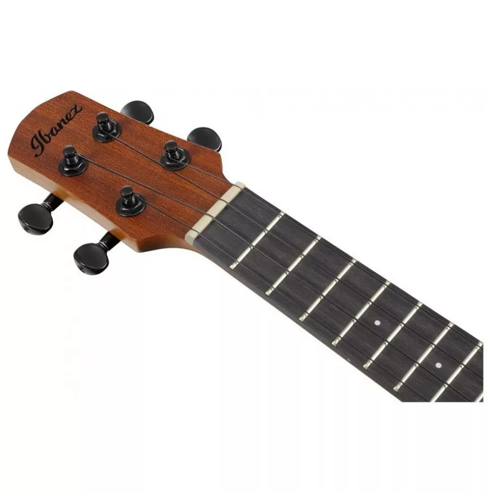 Ibanez AUC10E OPN