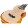 Ibanez AUC10E OPN