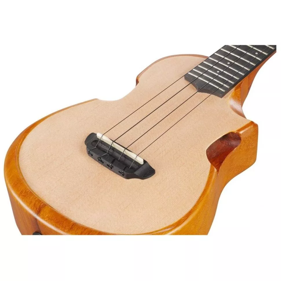 Ibanez AUC10E OPN