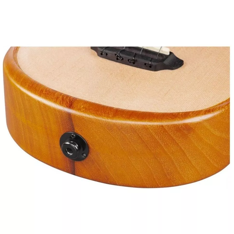 Ibanez AUC10E OPN