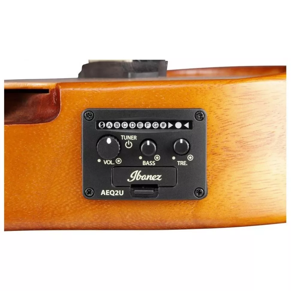 Ibanez AUC10E OPN