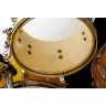 Tama IP52H6W-ELY