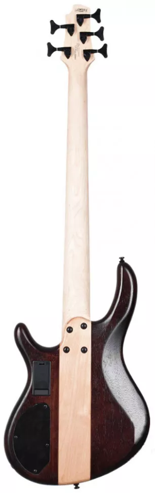 Cort C5 Plus ZBMH OTAB