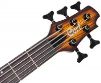 Cort C5 Plus ZBMH OTAB