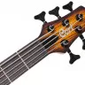 Cort C5 Plus ZBMH OTAB