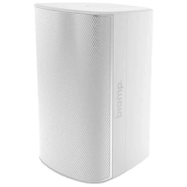 Biamp EX-S10SUB-UB-W