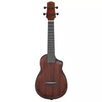Ibanez AUC14 OVL