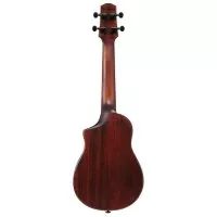 Ibanez AUC14 OVL