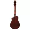 Ibanez AUC14 OVL