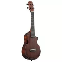 Ibanez AUC14 OVL
