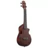 Ibanez AUC14 OVL