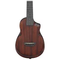 Ibanez AUC14 OVL