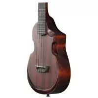 Ibanez AUC14 OVL