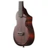 Ibanez AUC14 OVL