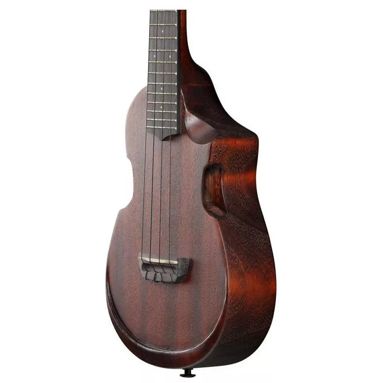 Ibanez AUC14 OVL