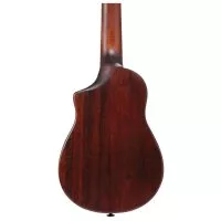 Ibanez AUC14 OVL