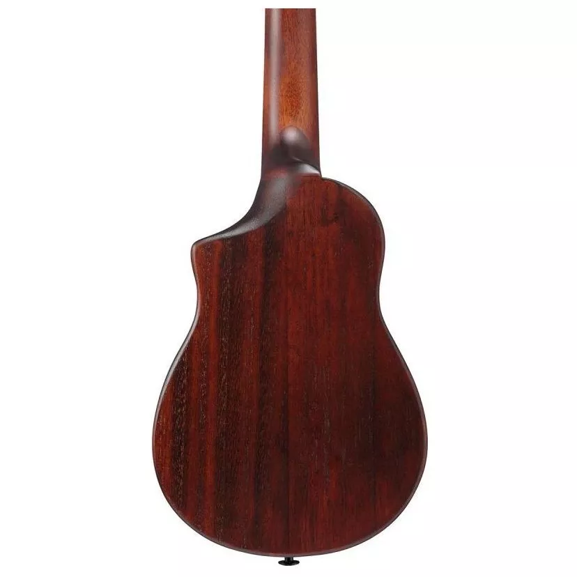 Ibanez AUC14 OVL