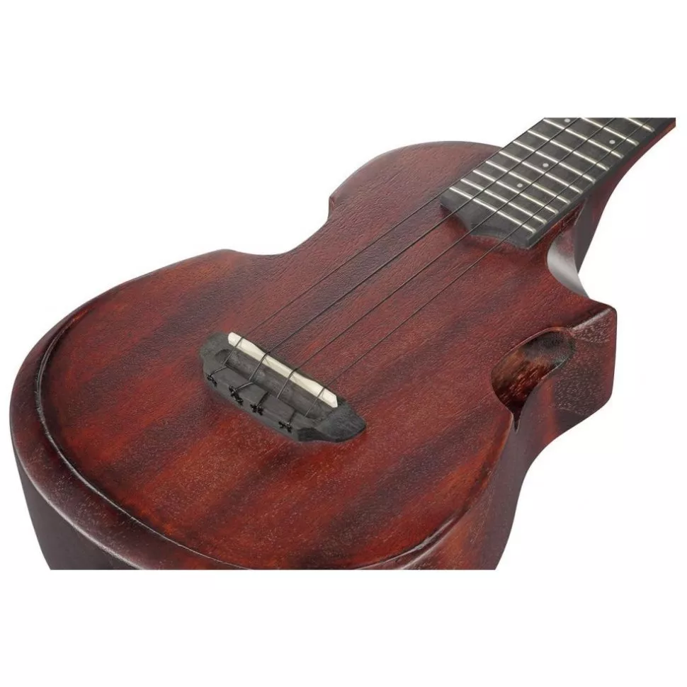 Ibanez AUC14 OVL