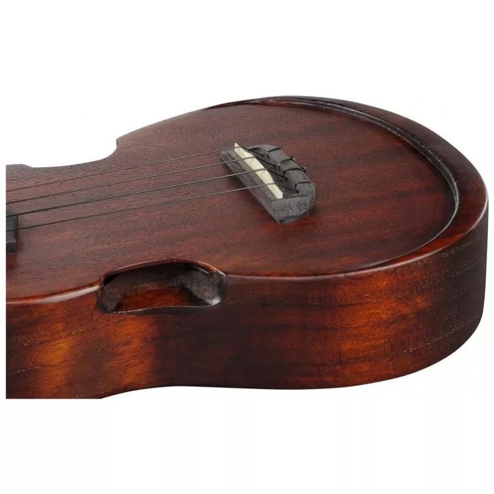 Ibanez AUC14 OVL