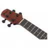 Ibanez AUC14 OVL