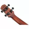 Ibanez AUC14 OVL