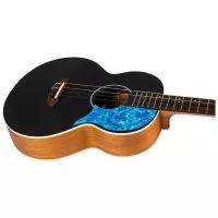 Flight Iris Baritone BK