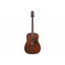 Ibanez AAD140 OPN