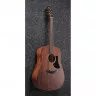 Ibanez AAD140 OPN